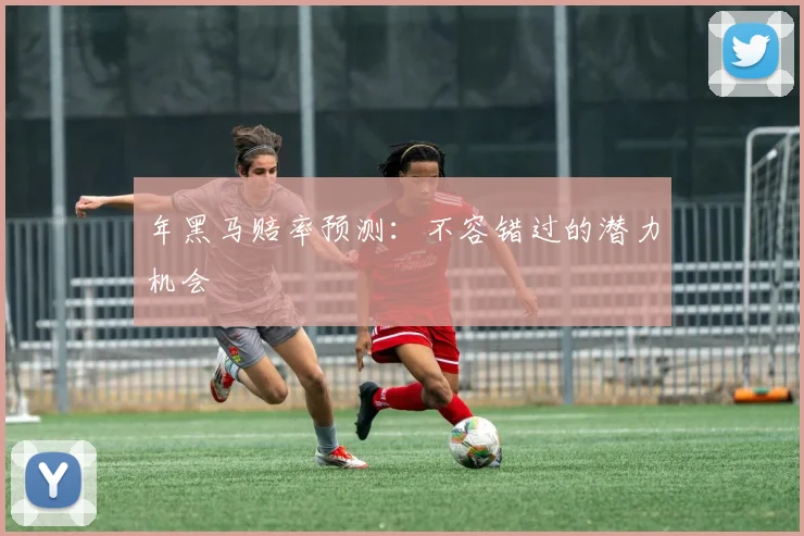 年黑马赔率预测:不容错过的潜力机会