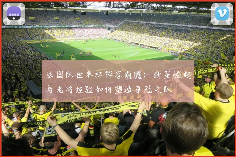 法国队世界杯阵容前瞻：新星崛起与老将经验如何塑造争冠之队