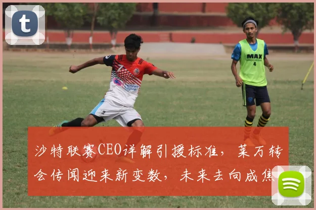 沙特联赛CEO详解引援标准，莱万转会传闻迎来新变数，未来去向成焦点